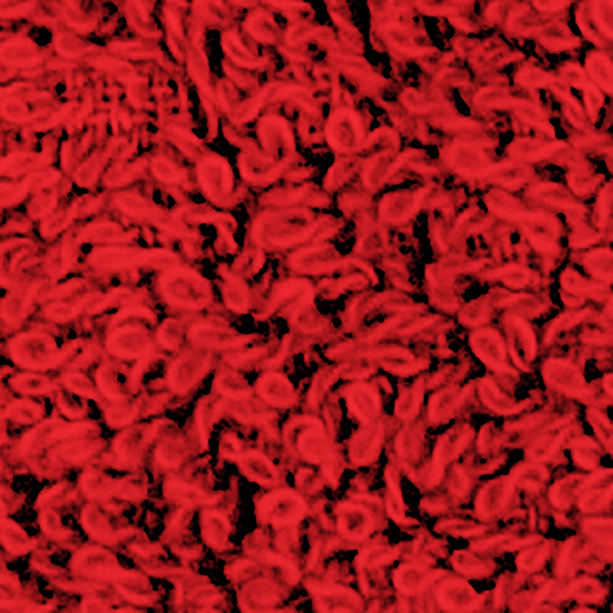 Accappatoio ABBEY-L | Rosso